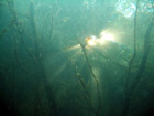 B�singhovener See Foto 1