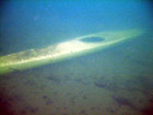 B�singhovener See Foto 3