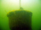 B�singhovener See Foto 8