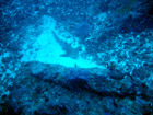 Similan Inseln Foto 23