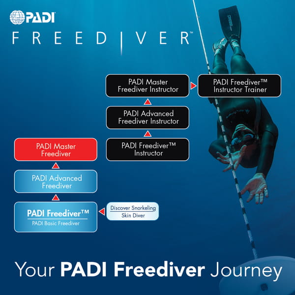 PADI Freediver Flowchart