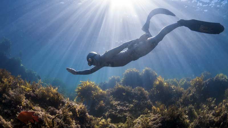 Spezialkurs PADI Freediver