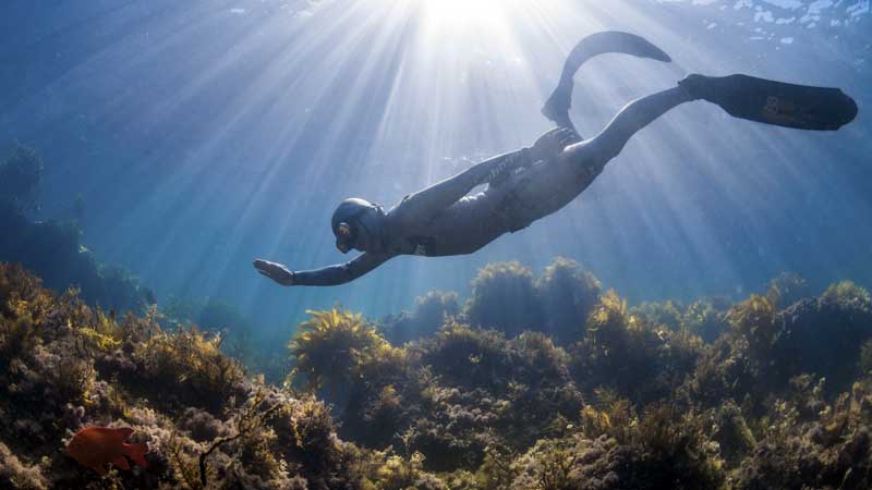 PADI Freediver Kurs