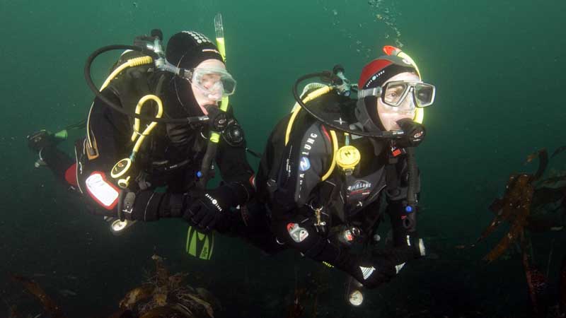 Spezialkurs Tauchen im Trockentauchanzug - PADI Dry Suit Diver