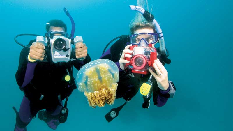 Spezialkurs Unterwasser Video - PADI Underwater Videographer